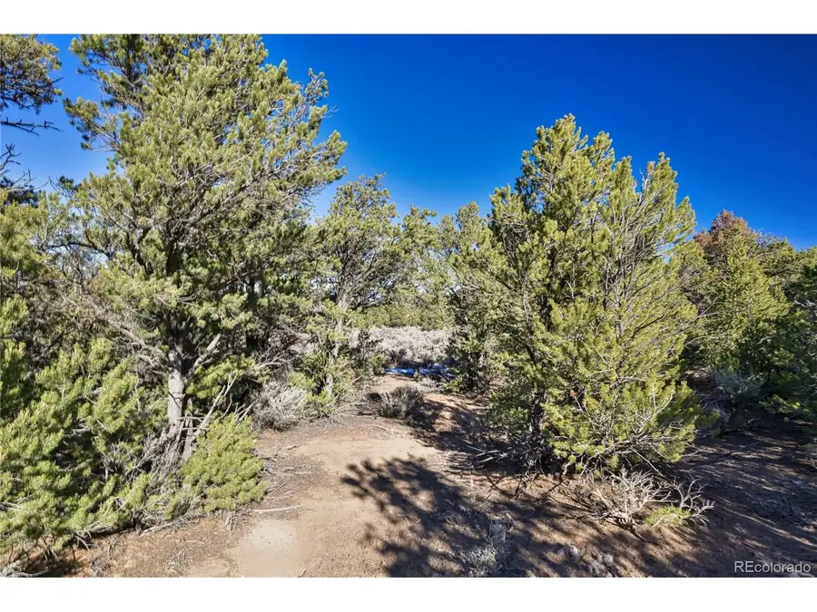 Address Withheld By Seller, Fort Garland, CO 81133 - Image #3