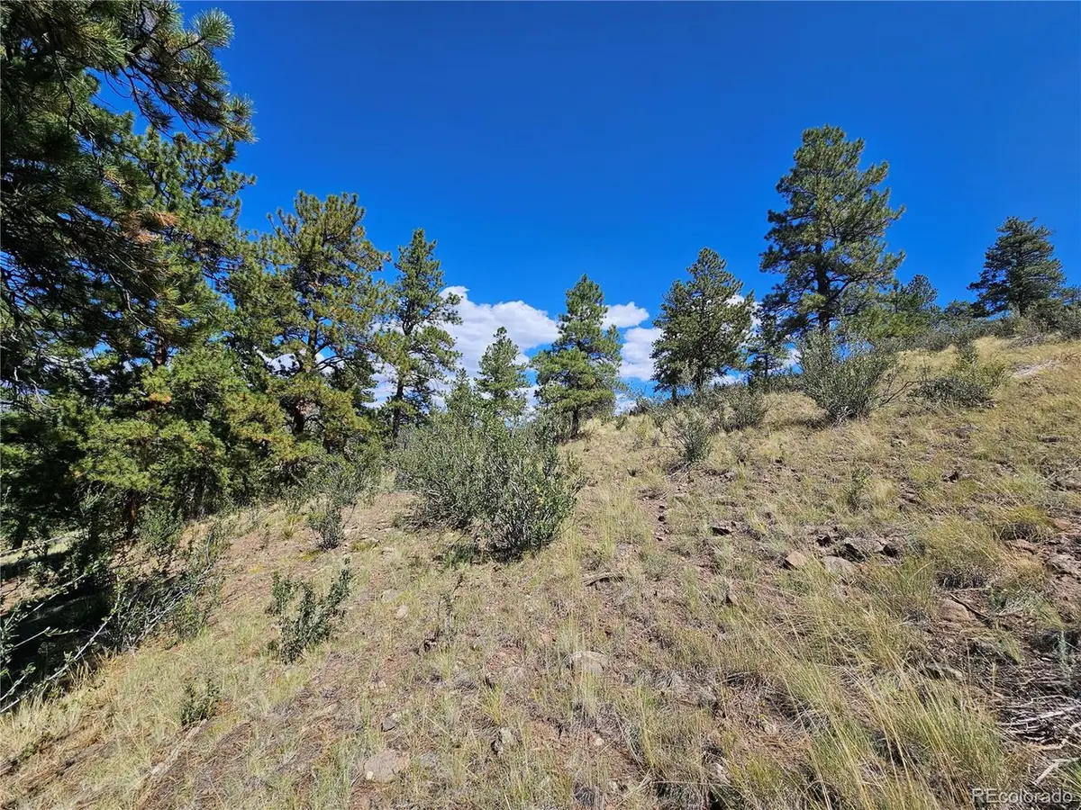 358 Escondida Dr, South Fork, CO 81154 - #1