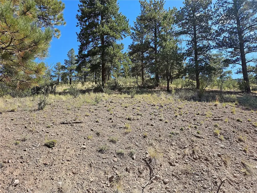 358 Escondida Dr, South Fork, CO 81154 - #3