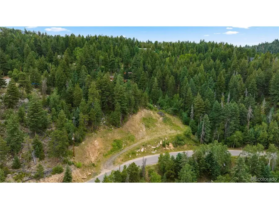 10126 Crest View Dr, Morrison, CO 80465 - #2