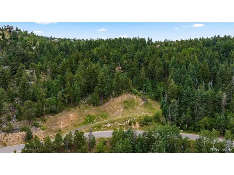 10126 Crest View Dr, Morrison, CO 80465 - #3