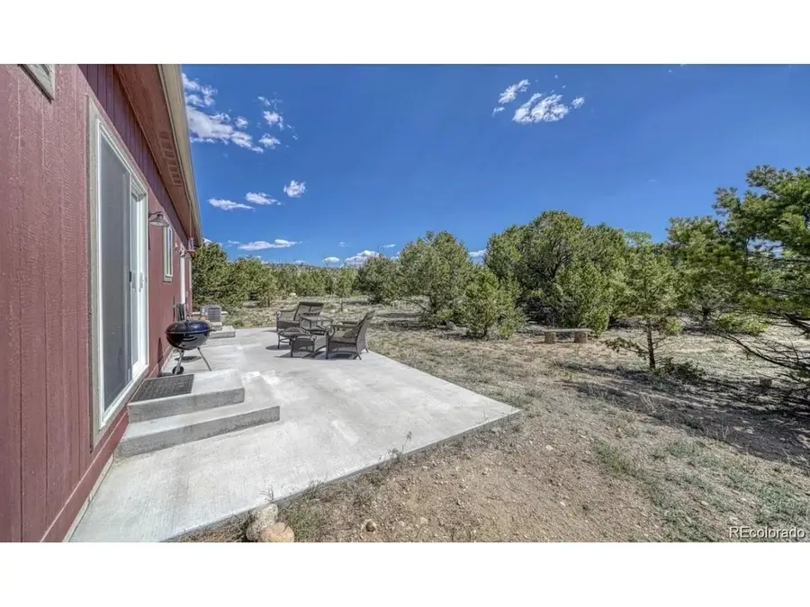 14124 County Road 162, Nathrop, CO 81236 - #3