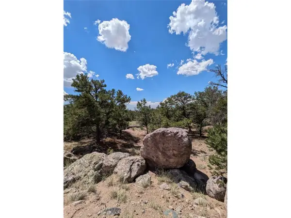 1240 Brookview Way, Crestone, CO 81131