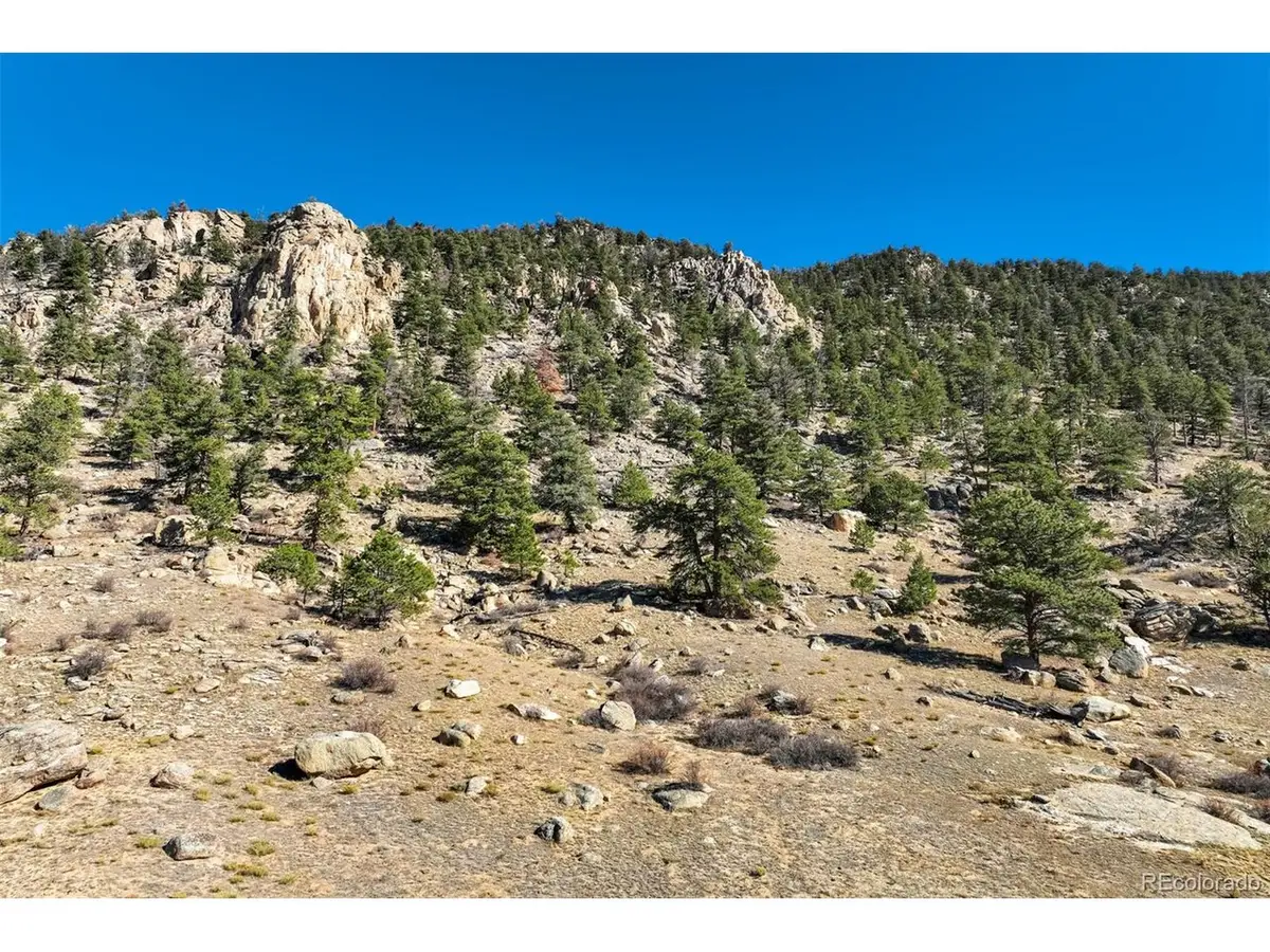 1354 Puma Hills Rd, Lake George, CO 80827 - #1