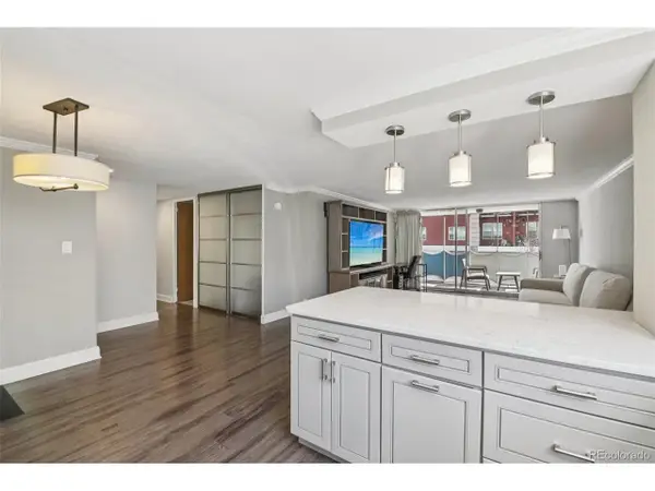 1155 N Ash St #302, Denver, CO 80220