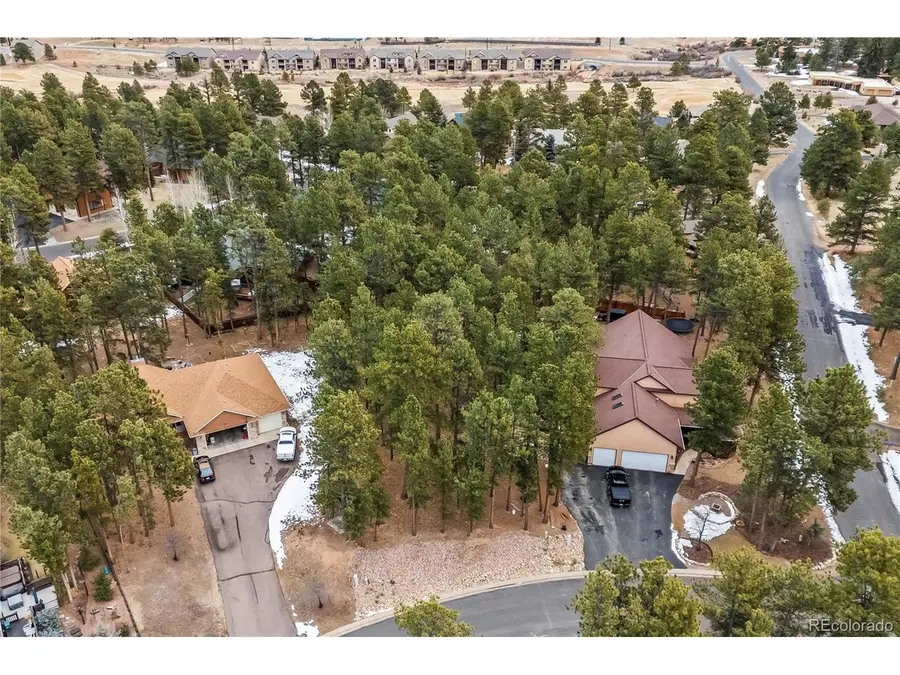 109 Flagstick Dr, Woodland Park, CO 80863 - #2