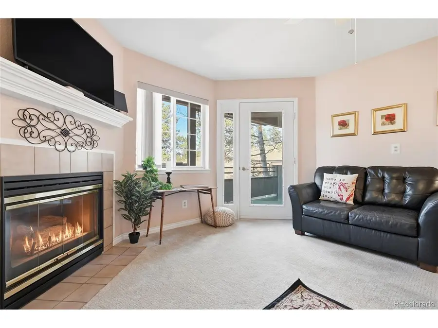 31819 Rocky Village Dr #214, Evergreen, CO 80439 - #2