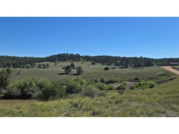 99 Uintah Ridge Rd, Florissant, CO 80816
