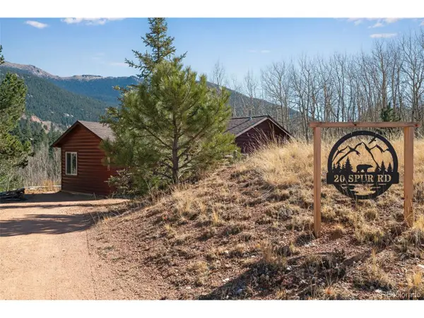 20 Spur Rd, Divide, CO 80814