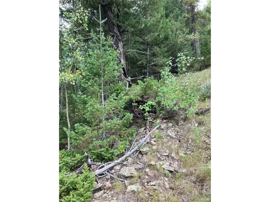 7 Miners Rd, Black Hawk, CO 80422 - #2