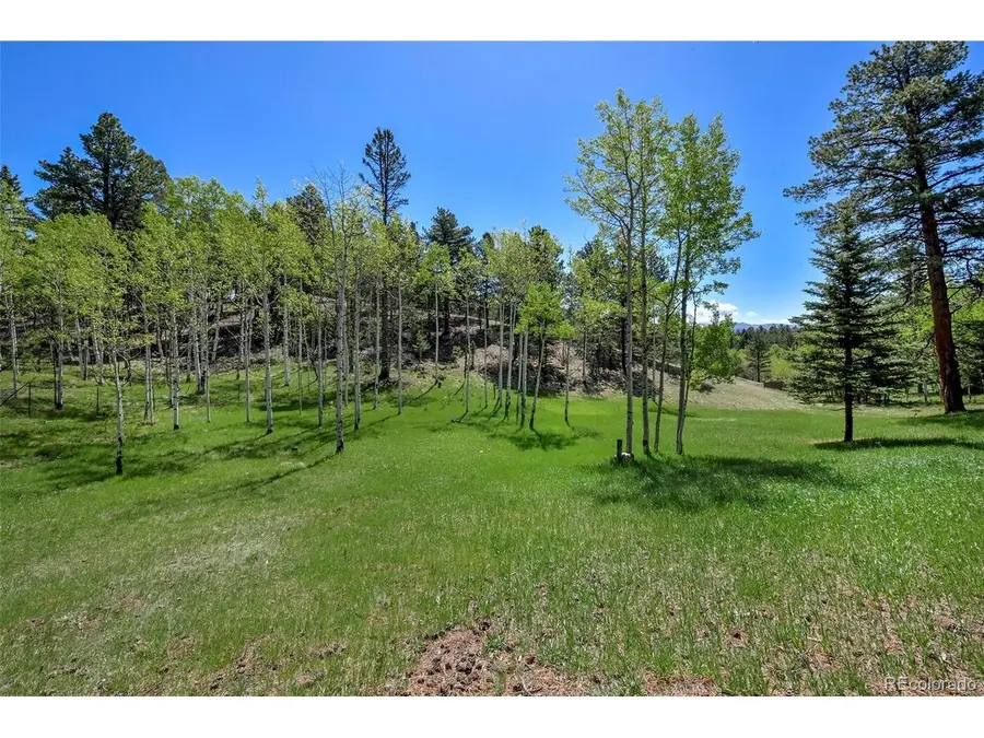 63 Star View Trl, Divide, CO 80814 - #2