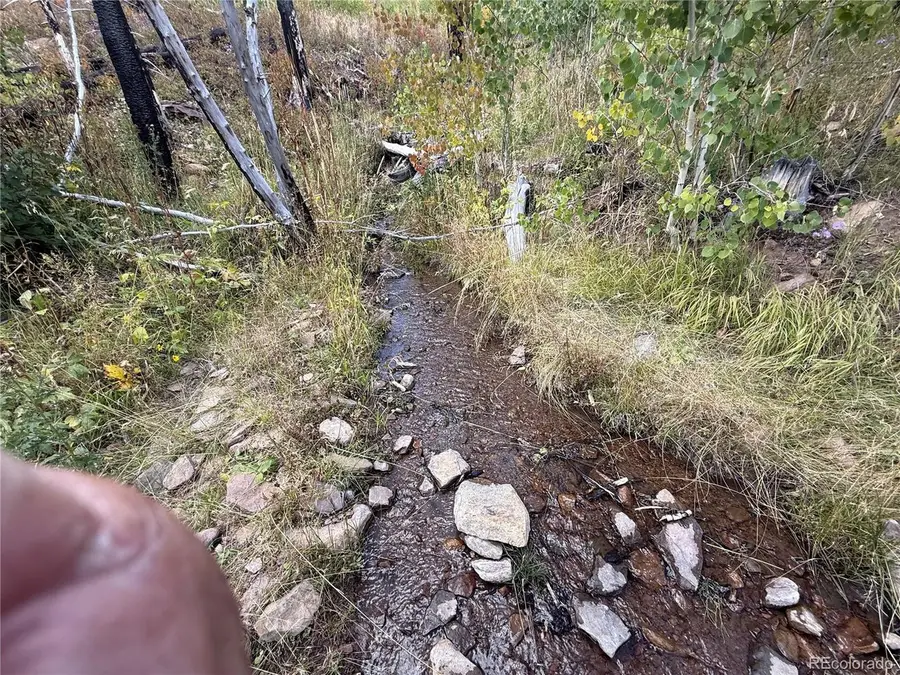 833 Huntington Ln, Fort Garland, CO 81133 - #3