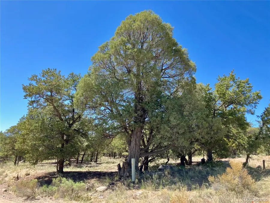 745 N Cliffwood, Crestone, CO 81131 - #3