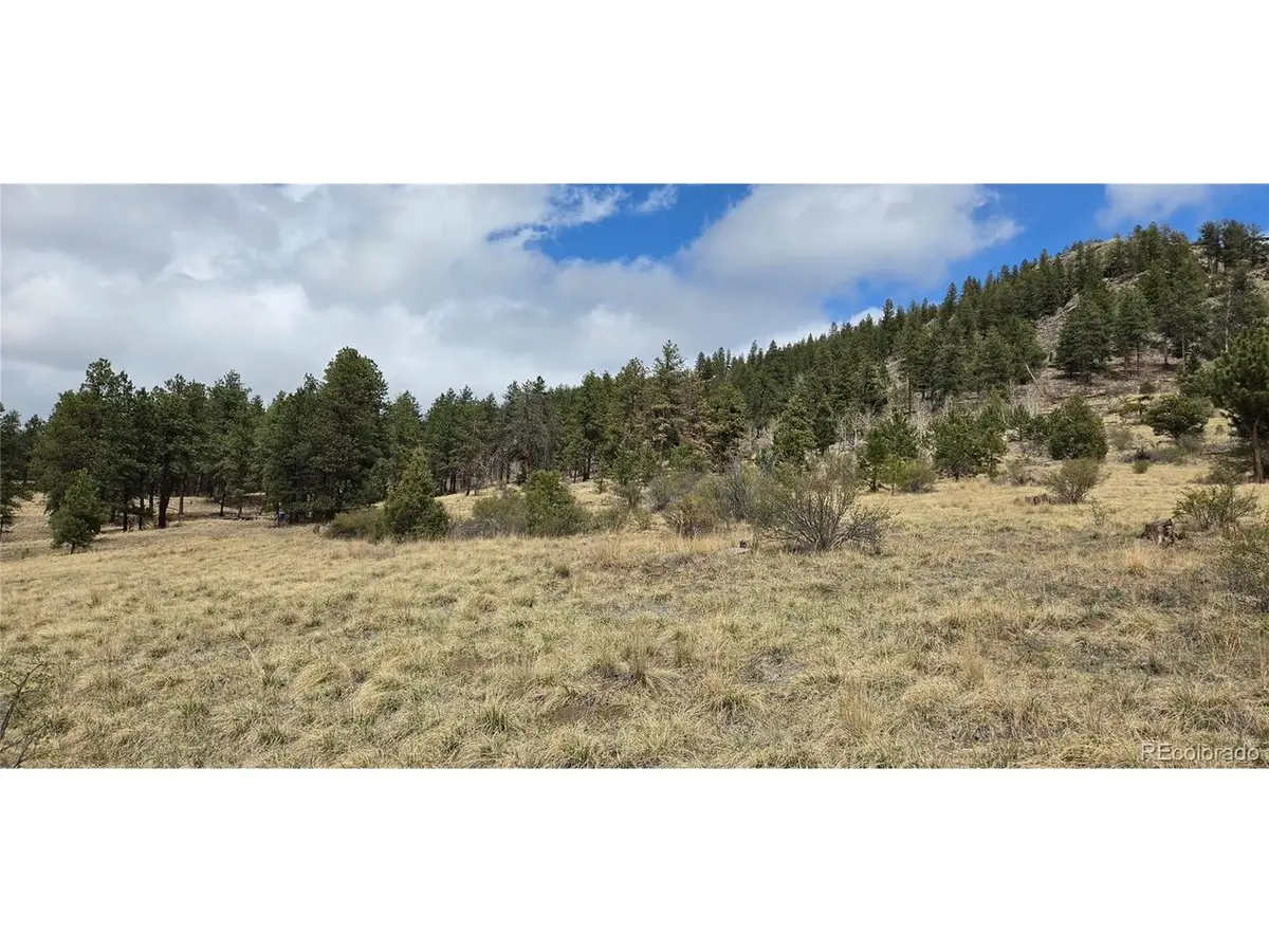 62430 Us Highway 285, Bailey, CO 80421 - #1