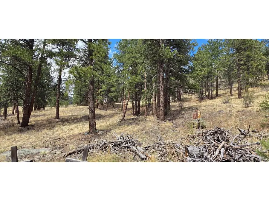 62430 Us Highway 285, Bailey, CO 80421 - #2