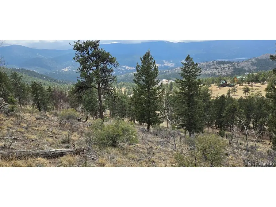 62430 Us Highway 285, Bailey, CO 80421 - #3