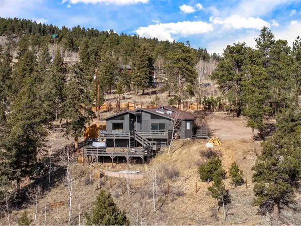 236 Summit Dr, Bailey, CO 80421