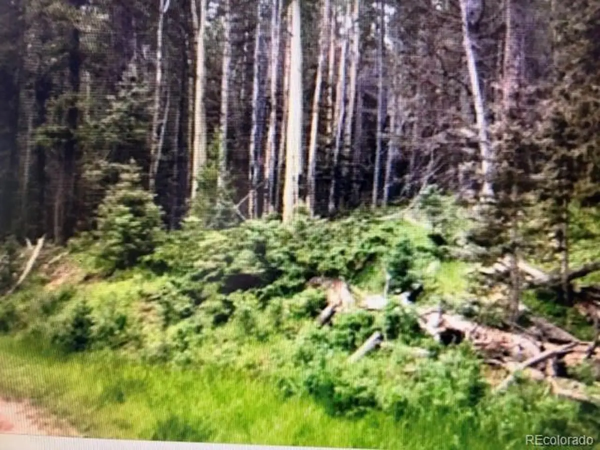 0 Drexler Pl, Fort Garland, CO 81133 - #1