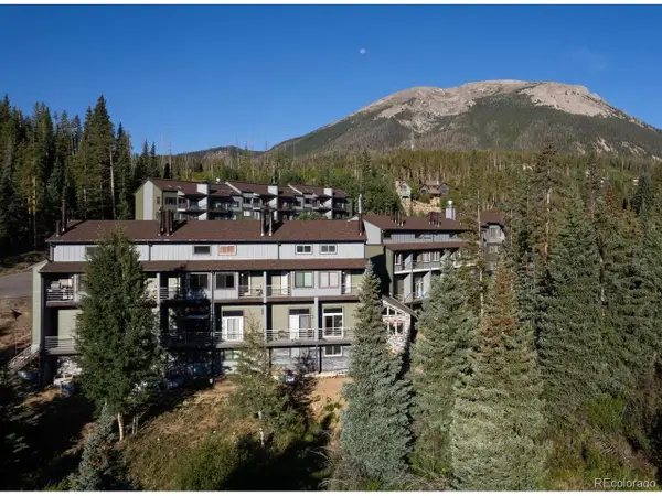 10000 Ryan Gulch Rd #105, Silverthorne, CO 80498