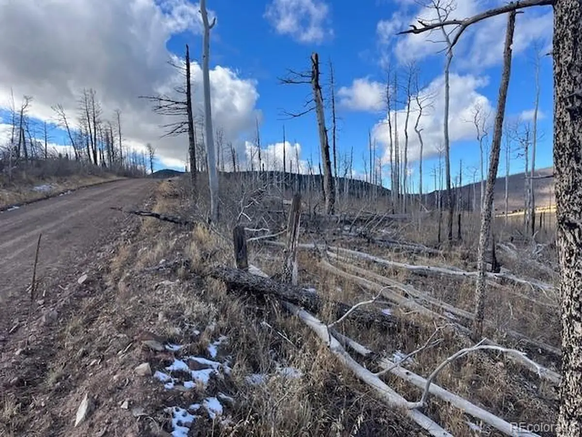 2397 Petito Dr, Fort Garland, CO 81133 - Image #1