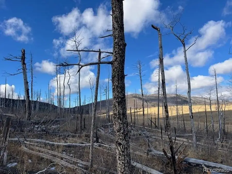 2397 Petito Dr, Fort Garland, CO 81133 - Image #2