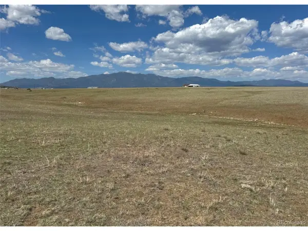 13 Pickney Rd, Rye, CO 81069