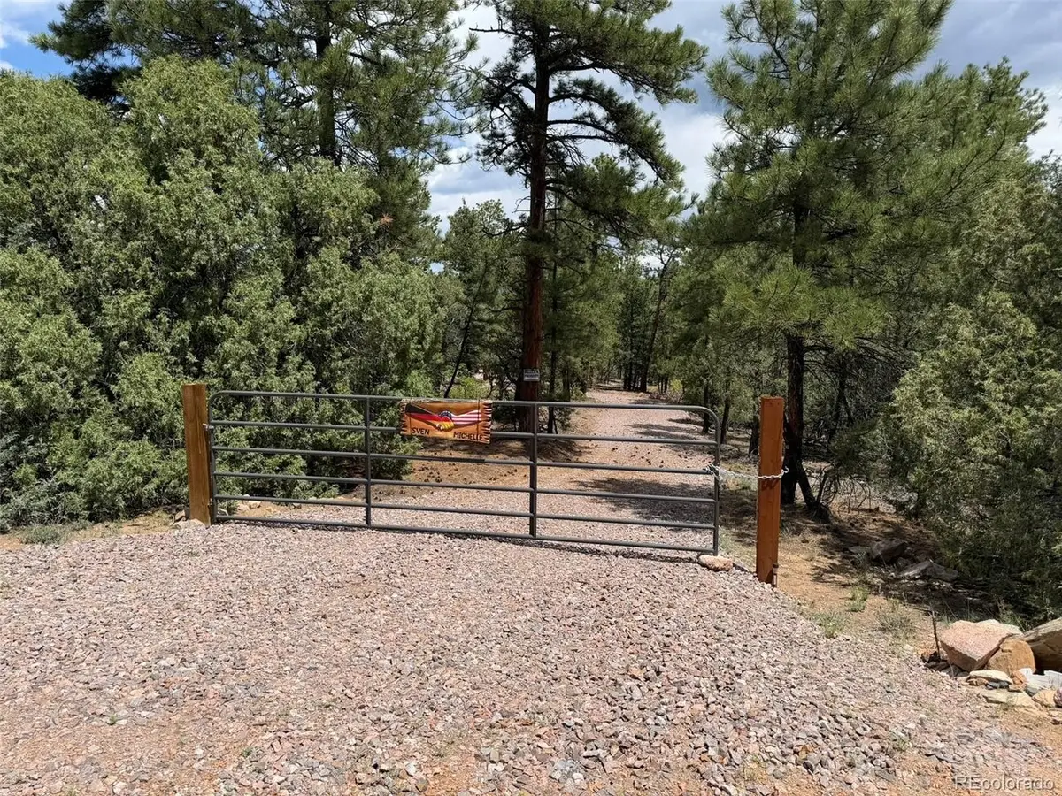 165 Mosswood Dr, Cotopaxi, CO 81223 - #1