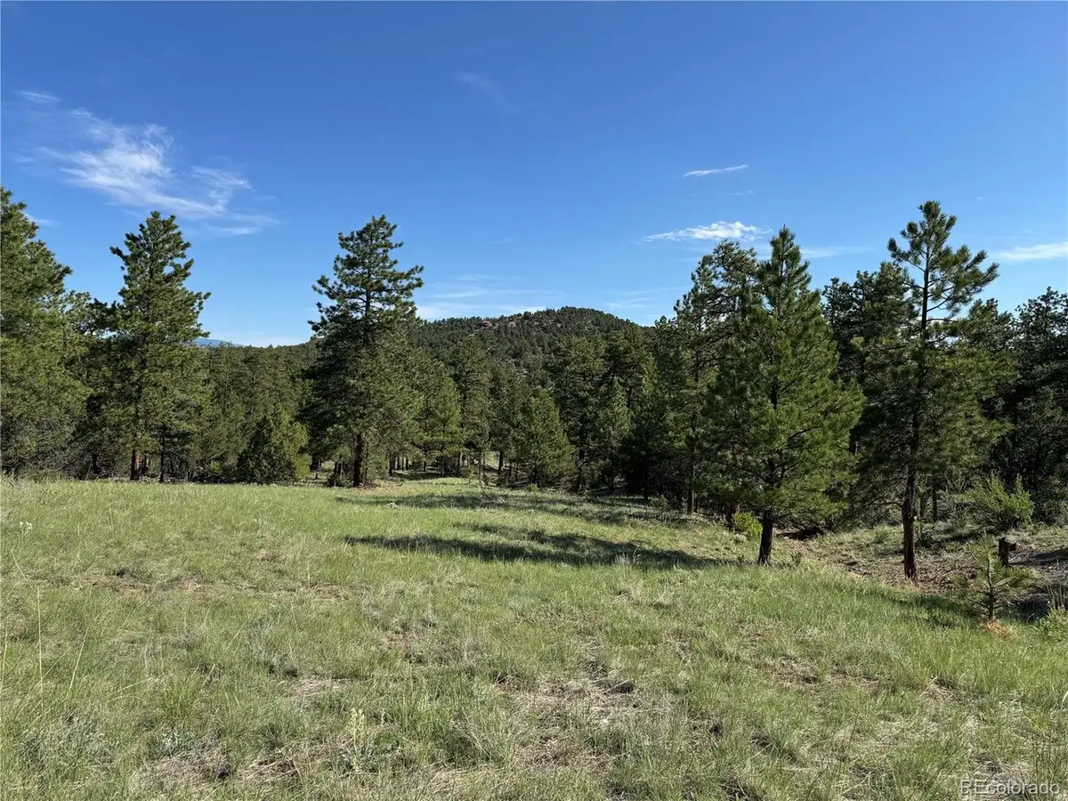 69 Coyote Run Rd, Cotopaxi, CO 81223 - #1