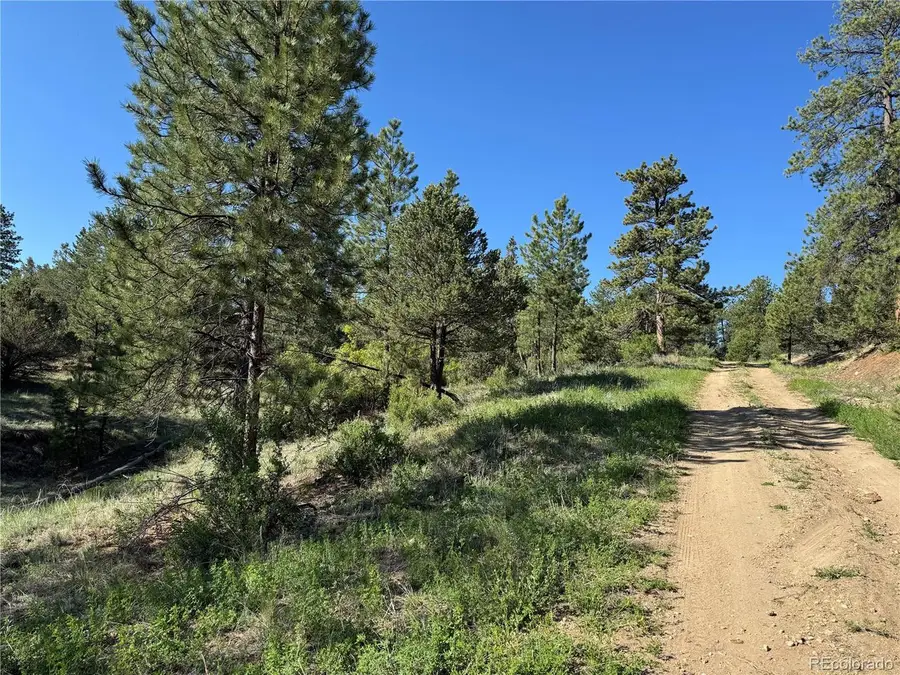 69 Coyote Run Rd, Cotopaxi, CO 81223 - #3