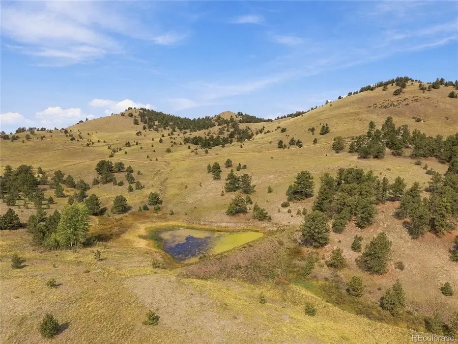 214 Betty Lou Rd, Guffey, CO 80820 - #2