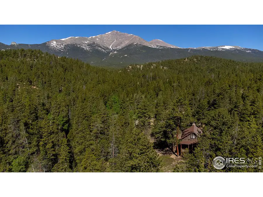 1217 Big Owl Rd, Allenspark, CO 80510 - Image #3