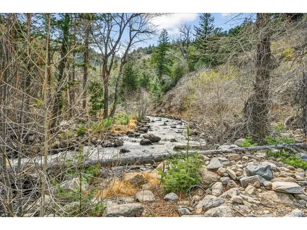 700 County Road 102j, Ward, CO 80481