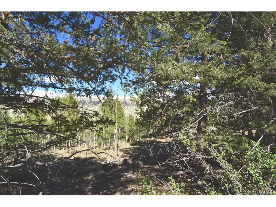 2381 Redhill Rd, Fairplay, CO 80440 - #2