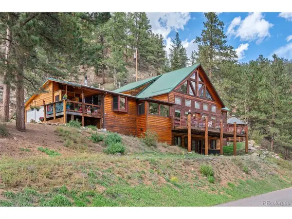 17025 SW Platte River Rd, Pine, CO 80433