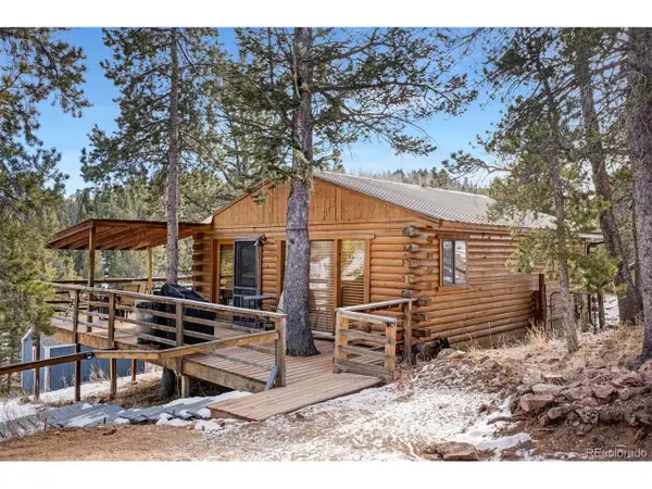 305 Bristlecone Cir, Bailey, CO 80421