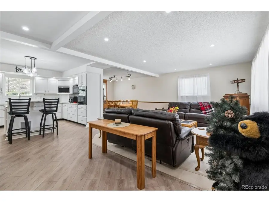 642 Scorpio Dr, Lone Tree, CO 80124 - #3