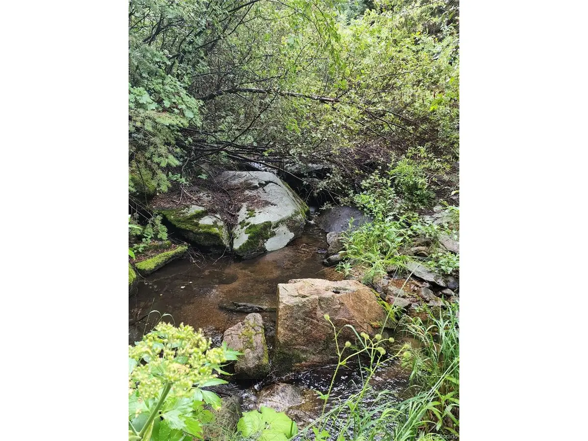 31429 Burke Rd, Golden, CO 80403 - #1