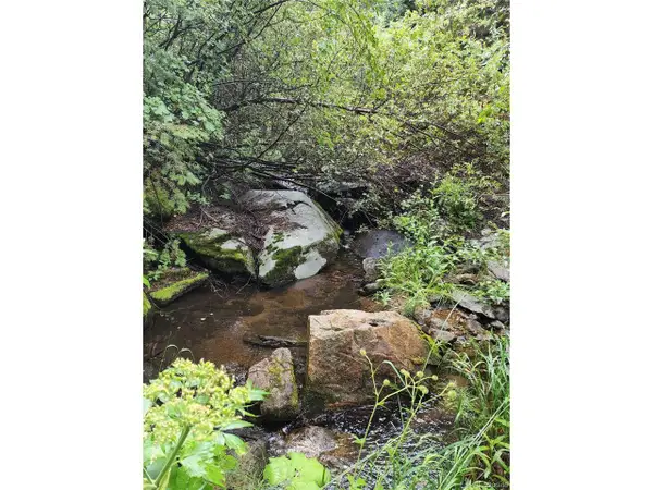 31429 Burke Rd, Golden, CO 80403