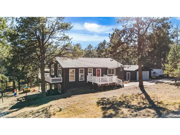 294 Kudu Trail, Bailey, CO 80421