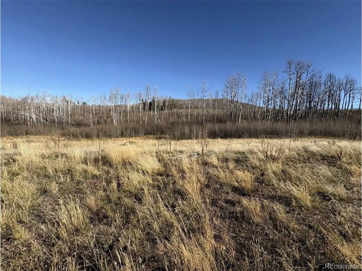 1654 Cary Ln, Fort Garland, CO 81133 - #1