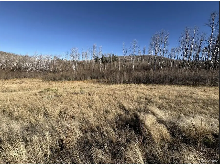 1654 Cary Ln, Fort Garland, CO 81133 - #3