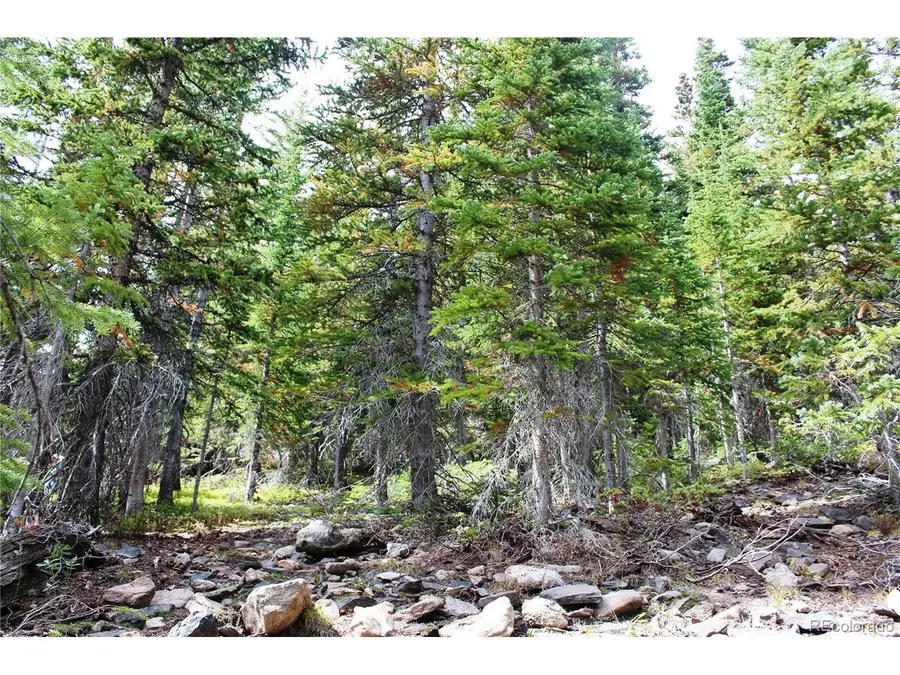 17582 Santa Clara #2, Rollinsville, CO 80422 - #3