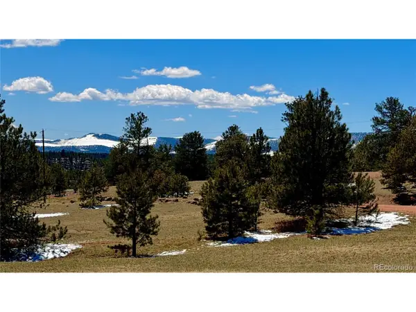 418 Scott Dr, Florissant, CO 80816