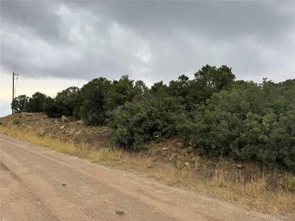 Reins Rd, Walsenburg, CO 81089