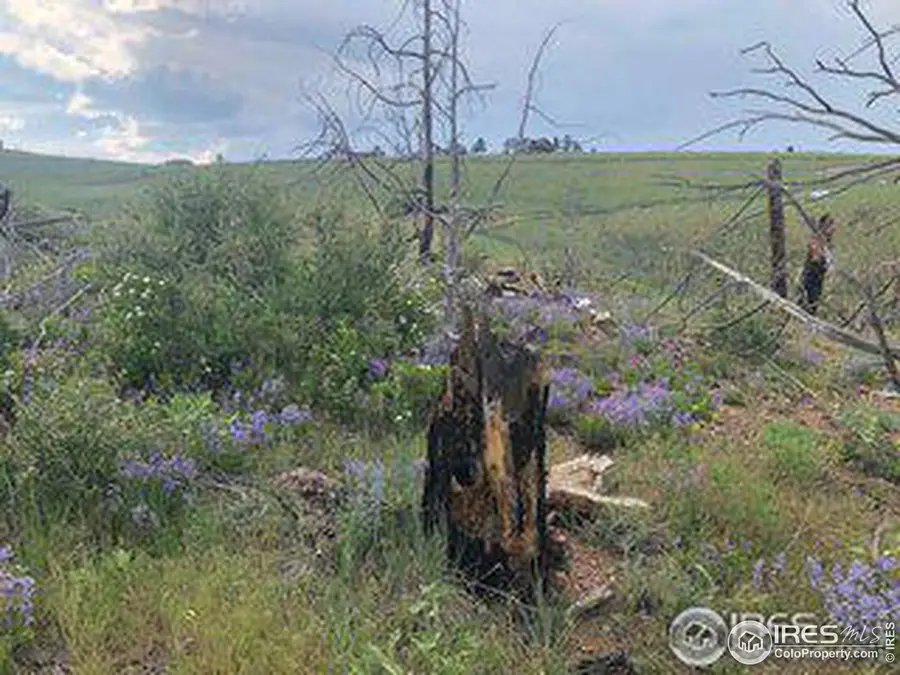 1360 Meadow Mountain Dr, Livermore, CO 80536 - Image #2