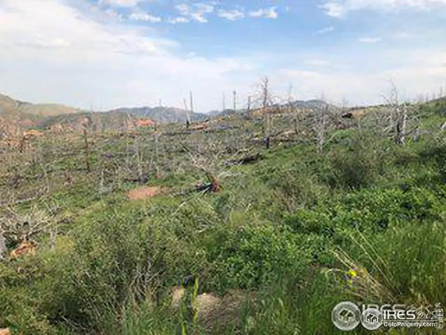 1360 Meadow Mountain Dr, Livermore, CO 80536 - Image #3