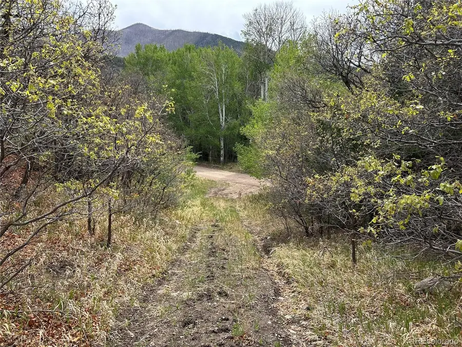 0 Pass Creek Rd, Gardner, CO 81040 - #3