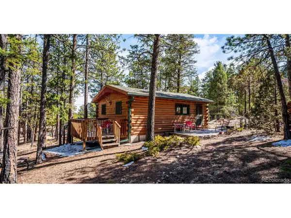 33885 La Plata Ln, Pine, CO 80470