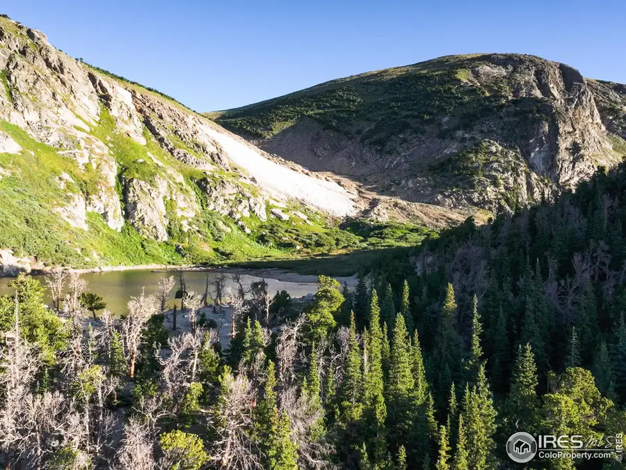 8821 Fall River Rd, Idaho Springs, CO 80452 - Image #3