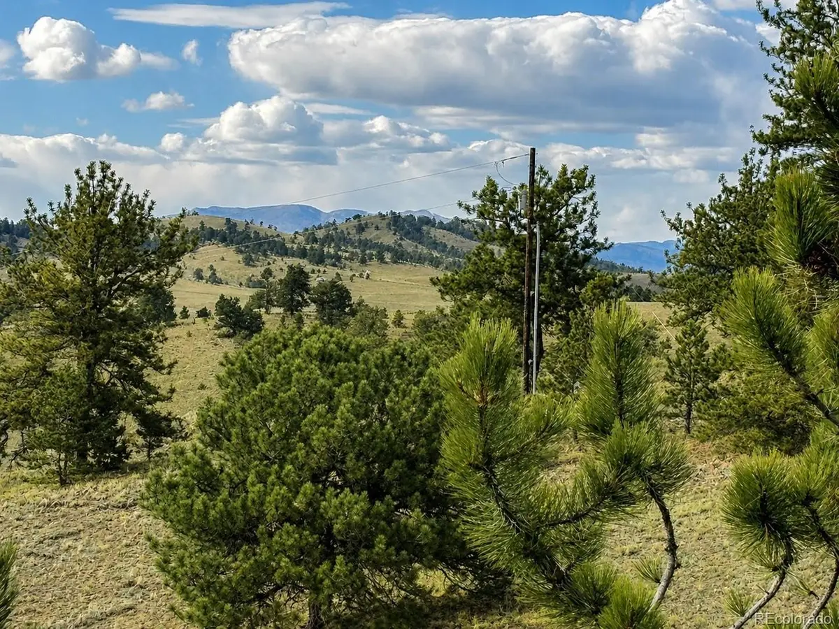 115 Black Canyon Ct, Hartsel, CO 80449 - #1